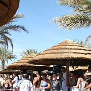מים פתוחים אילת נובמבר 2008 198